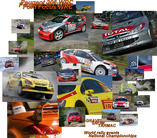 Peugeot 206 WRC 1999 - Ford Focus 2009 : 10 years of WRC